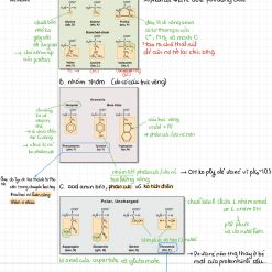 B7_Hoá học acid amin